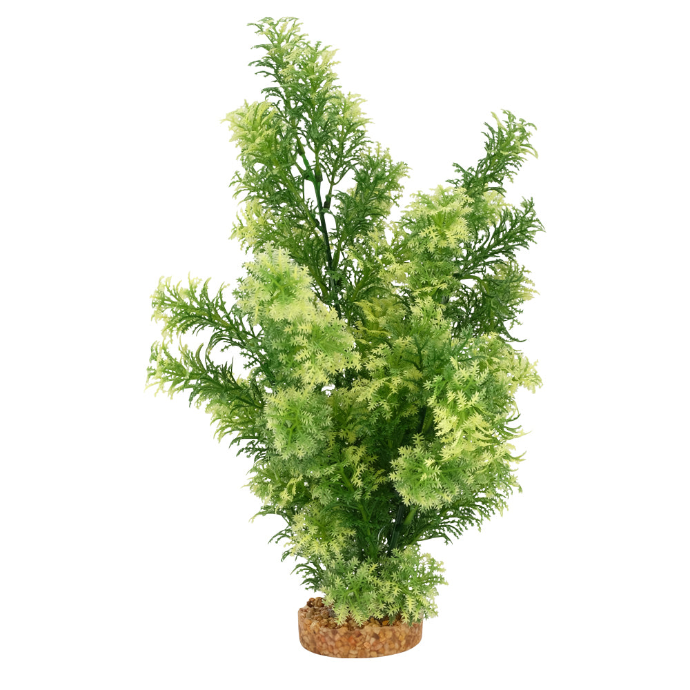 Plante Aqualife Fluval avec base de gravier, hottonie à pointes blanches, 35,5 cm (14 po)