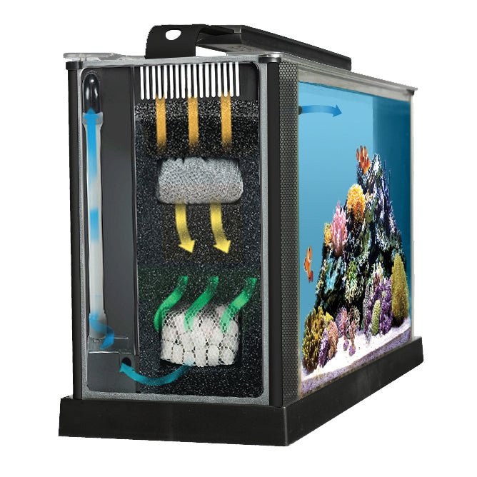Aquarium équipé EVO Fluval Sea, 19 L (5 gal US)