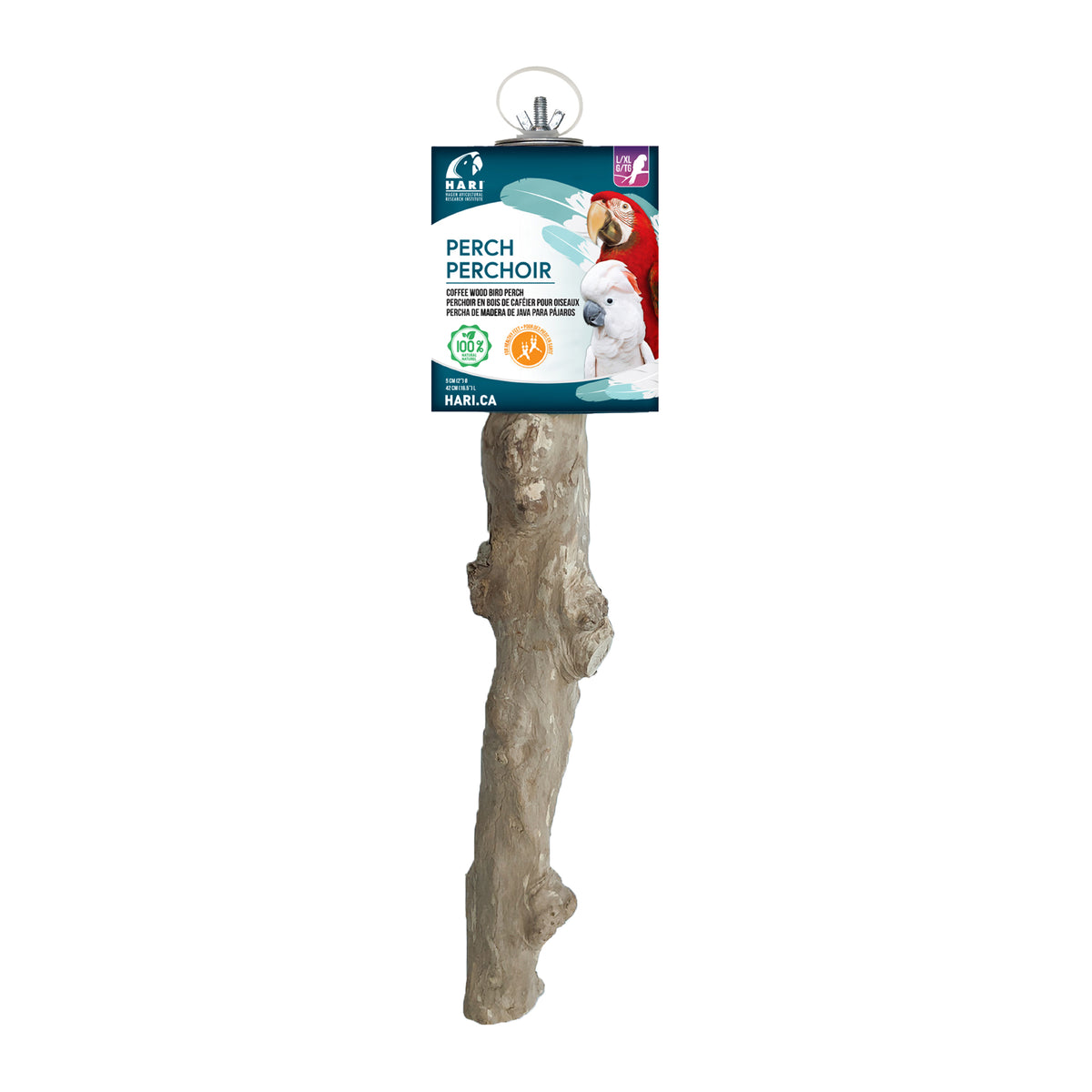 Perchoir HARI en bois de caféier, L. 42 cm (16,5 po), diam. 5 cm (2 po)