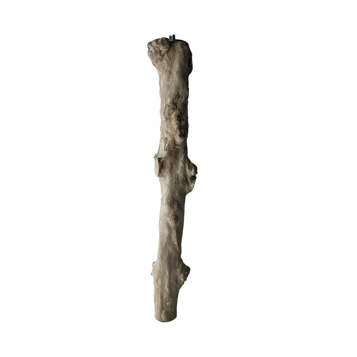 Perchoir HARI en bois de caféier, L. 42 cm (16,5 po), diam. 5 cm (2 po)
