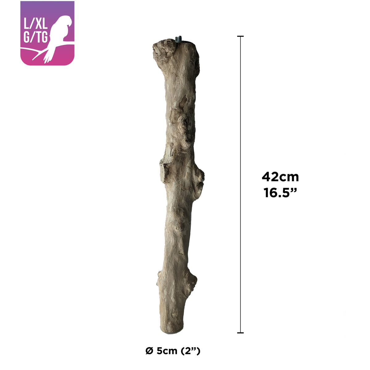 Perchoir HARI en bois de caféier, L. 42 cm (16,5 po), diam. 5 cm (2 po)