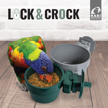 Bol de nourrissage Lock & Crock HARI, vert, pour petits/moyens perroquets, 177 ml