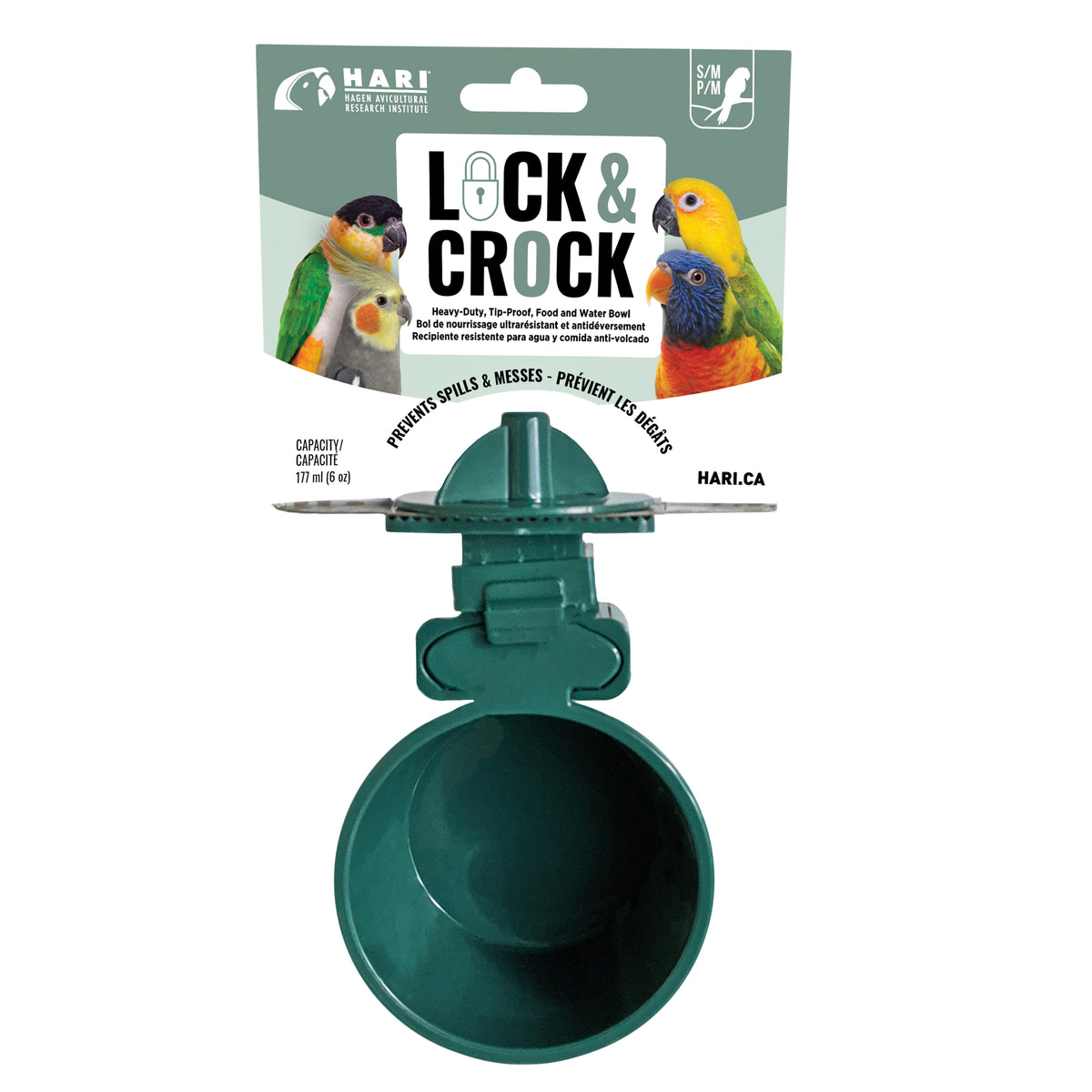 Bol de nourrissage Lock & Crock HARI, vert, pour petits/moyens perroquets, 177 ml