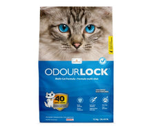Intersand Odourlock Maxcare Litière Agglomérante Non Parfumée 12 Kg
