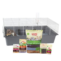 Cage équipée Living World pour rat, L. 78 x l. 48 x H. 31 cm (30,7 x 18,9 x 12,2 po)