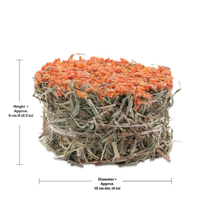 Galette de foin Botanicals Living World Green, carotte, 75 g (2,6 oz)