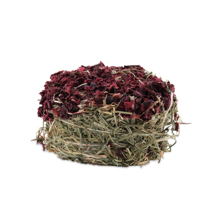 Galette de foin Botanicals Living World Green, betterave, 75 g (2,6 oz)