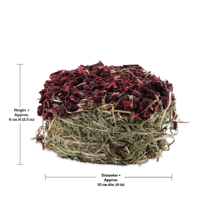 Galette de foin Botanicals Living World Green, betterave, 75 g (2,6 oz)