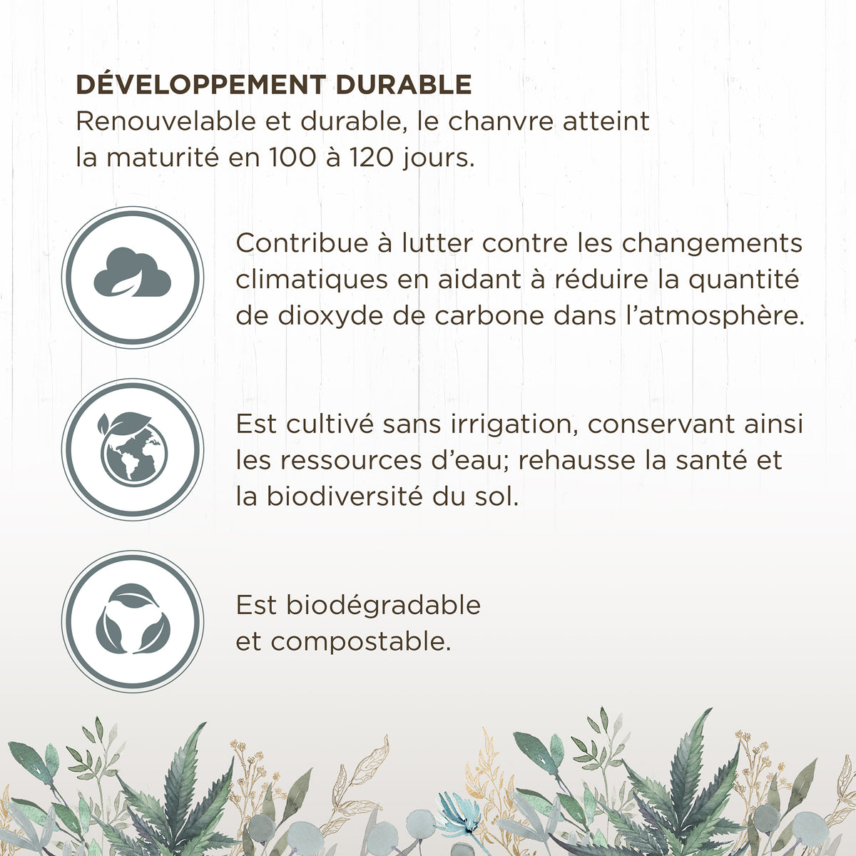 Litière de chanvre Living World Green Ultra Comfort de première qualité, 10 L