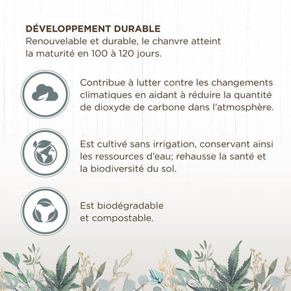 Litière de chanvre Living World Green Ultra Comfort de première qualité, 50 L