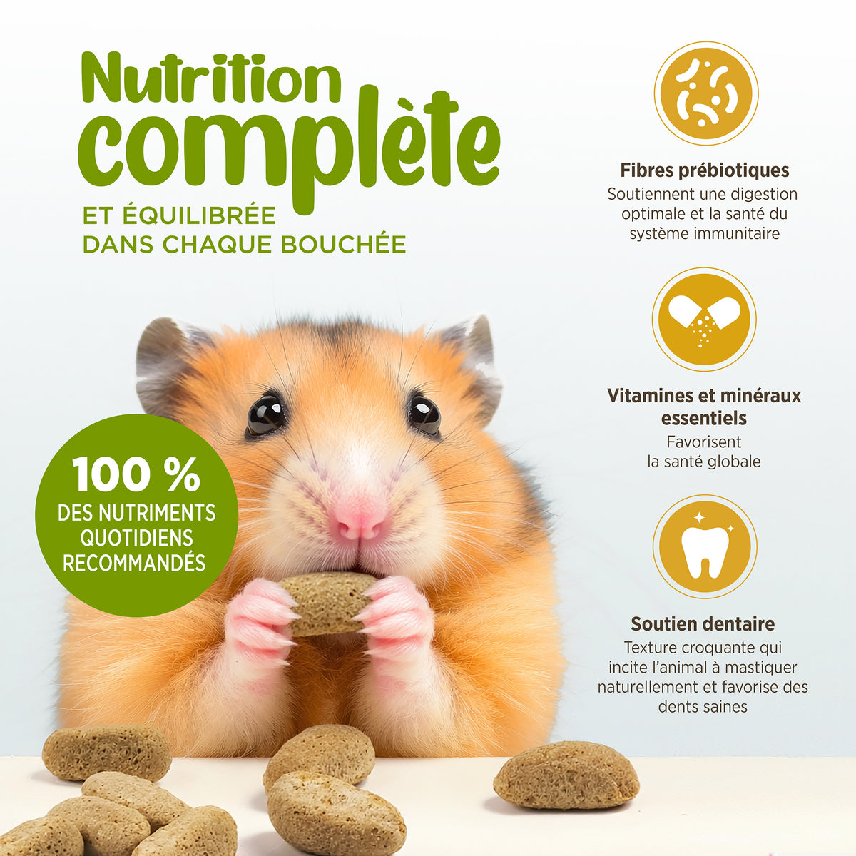 Aliment Extrusion Living World pour hamsters, 1,5 kg (3,3 lb)