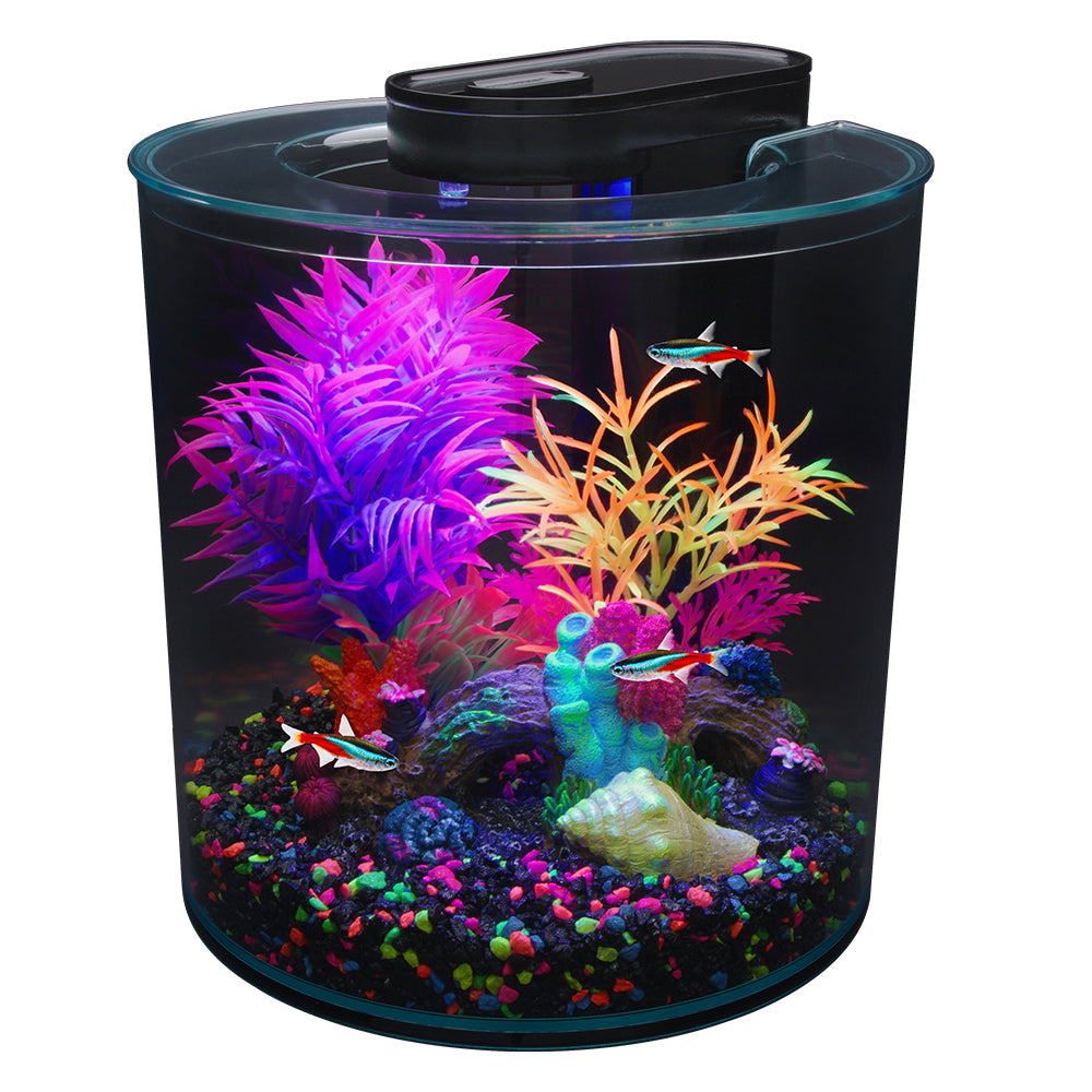 Aquarium équipé 360° iGlo Marina, 10 L (2,65 gal US)