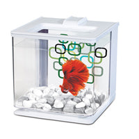 Aquarium équipé EZ Care Marina pour betta, blanc, 2,5 L (0,7 gal US), 16 x 16 x 16 cm (6 x 6 x 6 po)