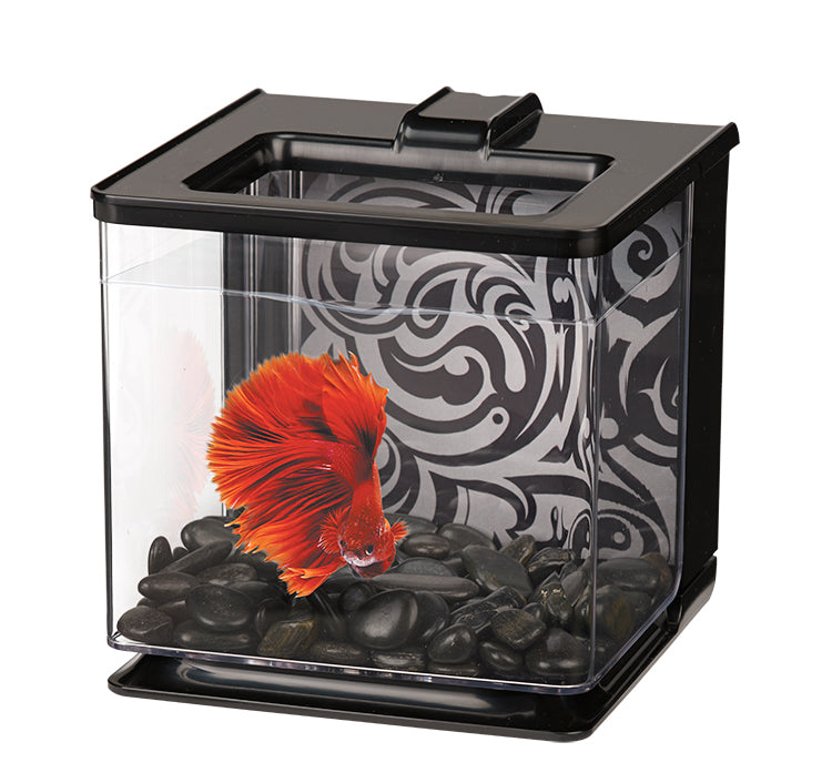 Aquarium équipé EZ Care Marina pour betta, noir, 2,5 L (0,7 gal US)