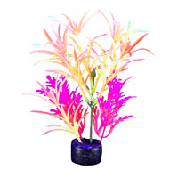 Plante iGlo Marina, 19 cm (7,5 po)