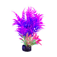 Plante iGlo Marina, 14 cm (5,5 po)