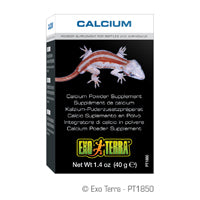 Supplément de calcium Exo Terra en poudre, 40 g (1,4 oz)