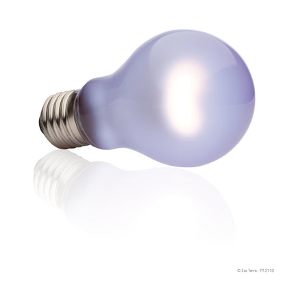 Ampoule infrarouge Sun Glo Exo Terra à lumière du jour, A19, 60 W