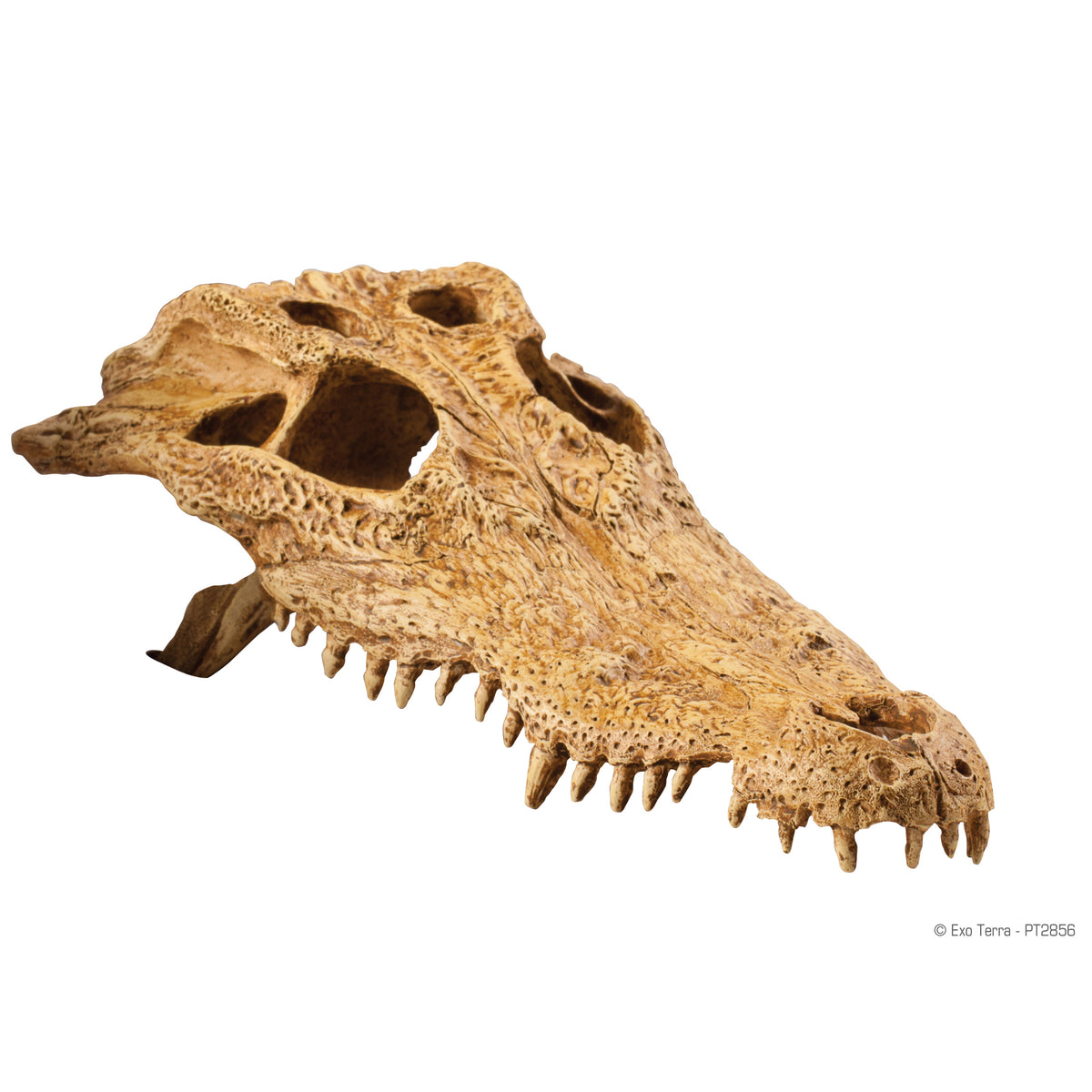 Cachette Exo Terra en forme de crâne de crocodile
