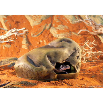 Grotte Exo Terra pour geckos, grande, 23 x 18 x 12 cm (9 x 7 x 5 po)
