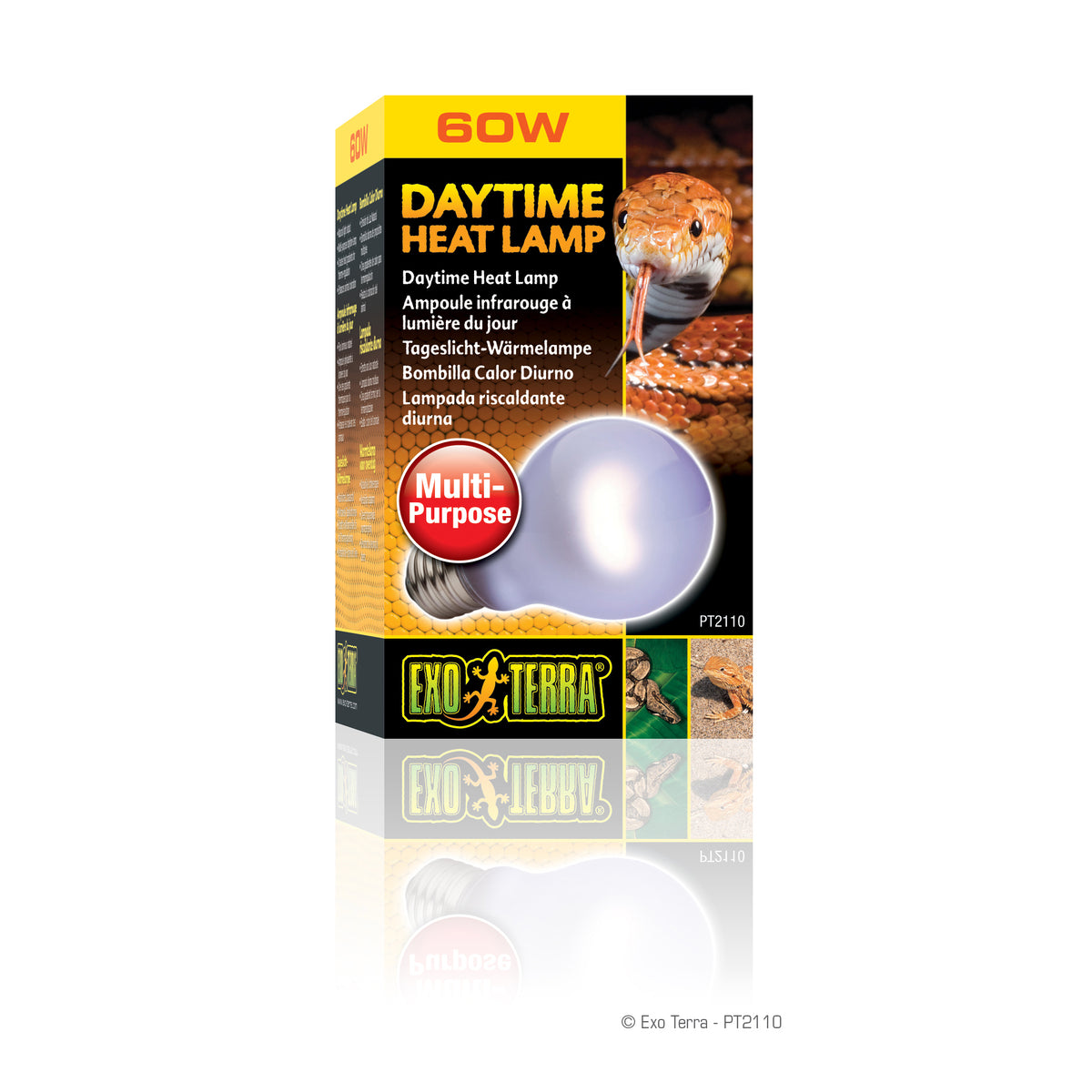 Ampoule infrarouge Sun Glo Exo Terra à lumière du jour, A19, 60 W