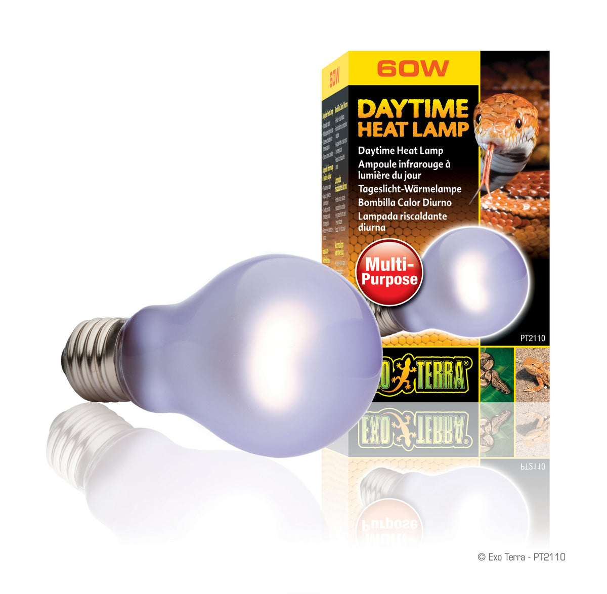 Ampoule infrarouge Sun Glo Exo Terra à lumière du jour, A19, 60 W