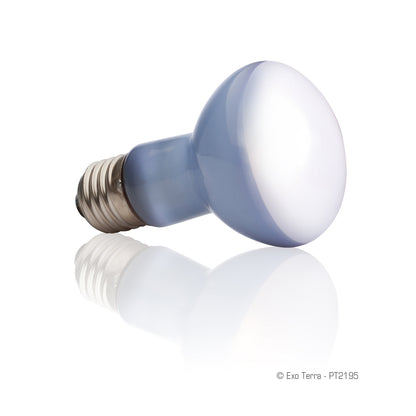 Ampoule à lumière du jour Exo Terra pour lézarder, R20, 25 W