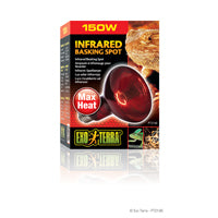 Ampoule à infrarouge Exo Terra pour lézarder, R30, 150 W