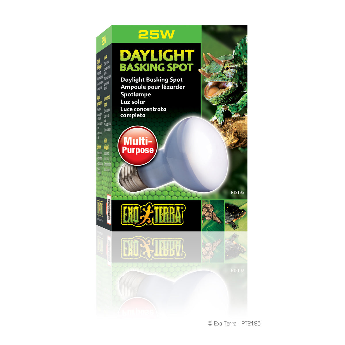 Ampoule à lumière du jour Exo Terra pour lézarder, R20, 25 W