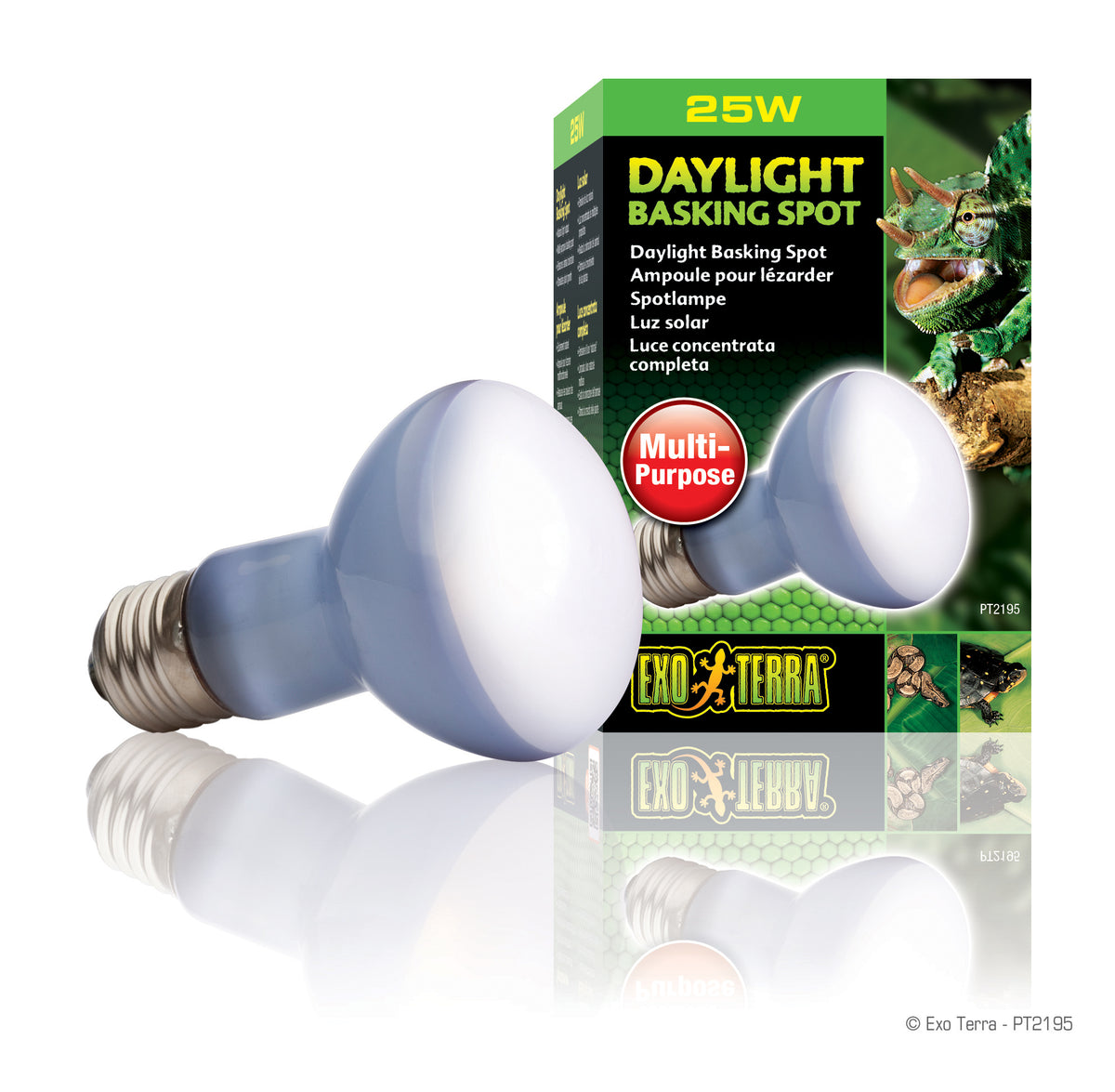 Ampoule à lumière du jour Exo Terra pour lézarder, R20, 25 W