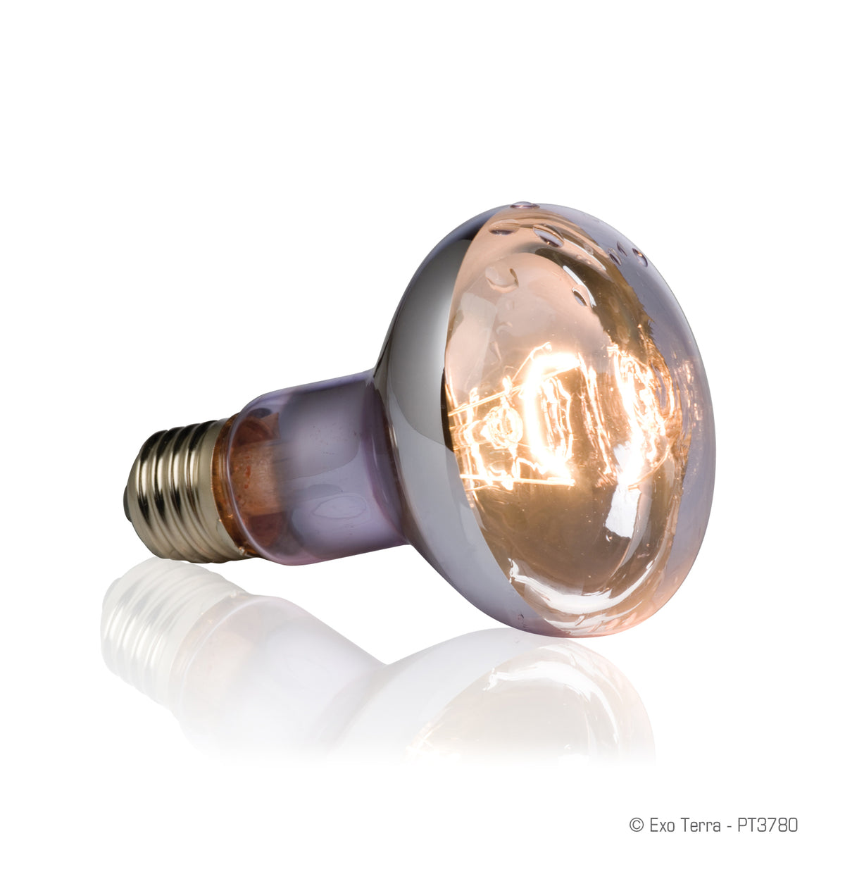 Ampoule Exo Terra pour lézarder en milieu marécageux, R20, 75 W