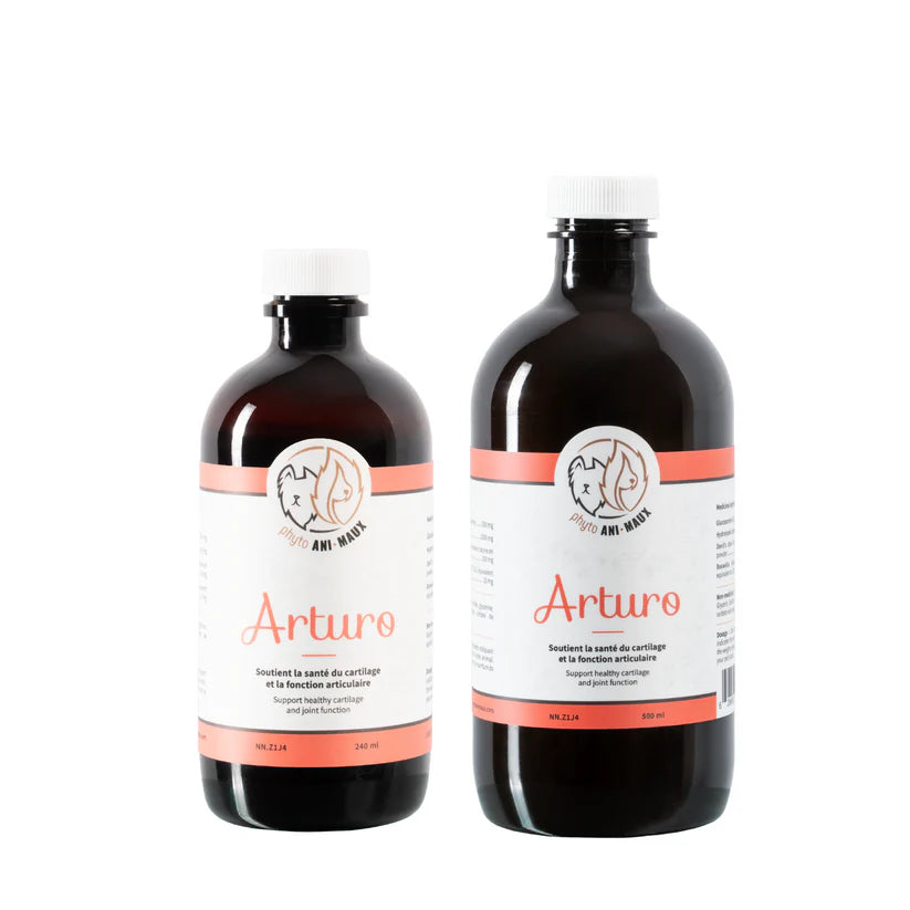 ARTURO 240 ml - Phyto animaux - Supplément de phytothérapie pour animaux domestiques